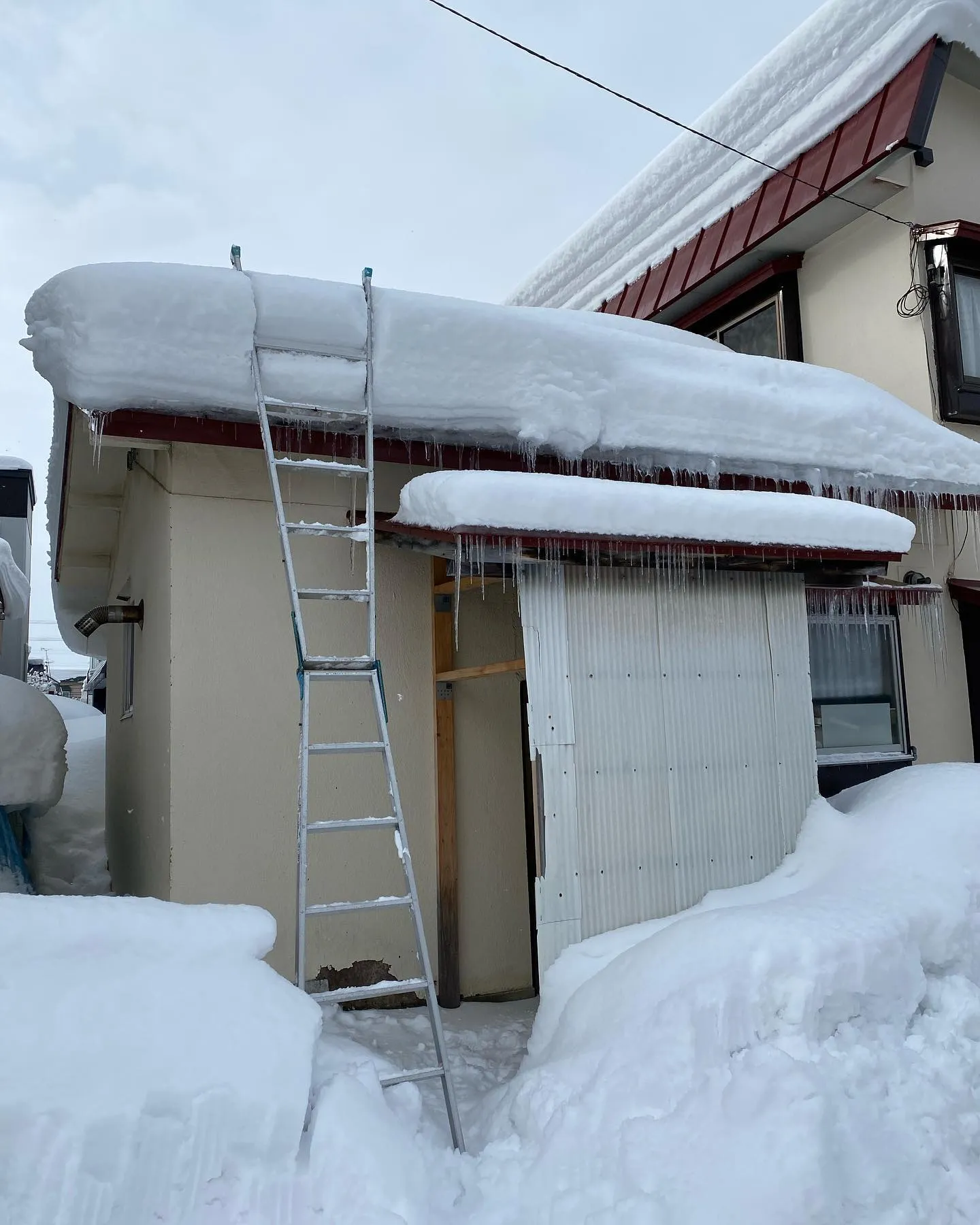 屋根の除雪