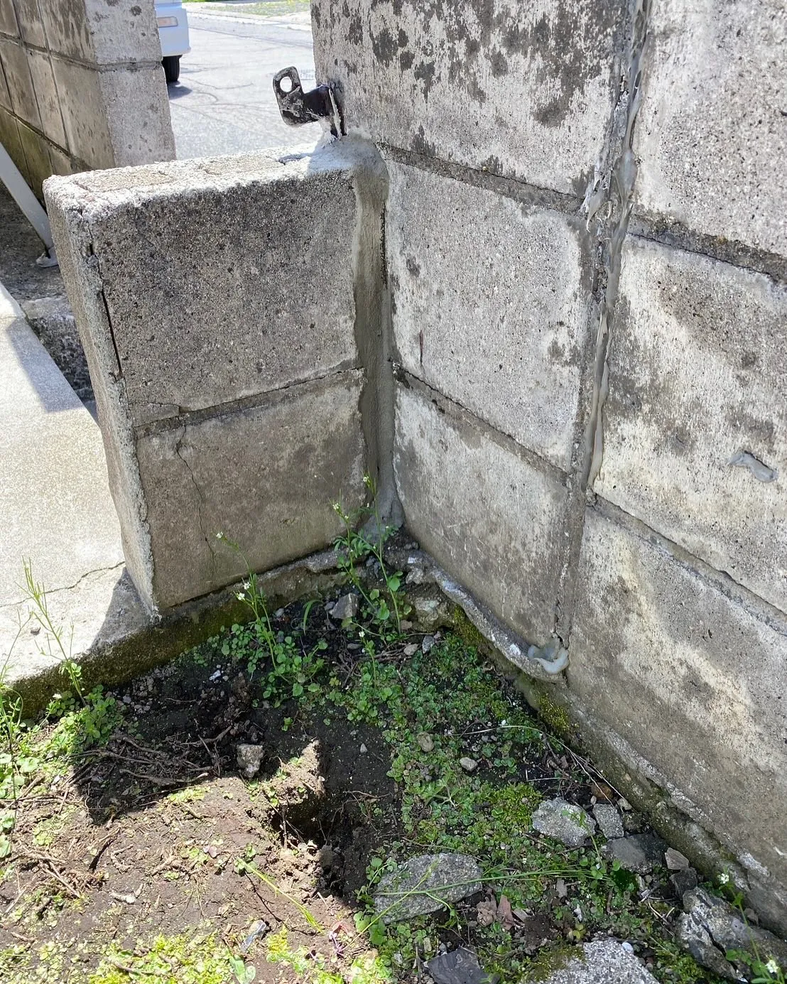 青森市の便利屋