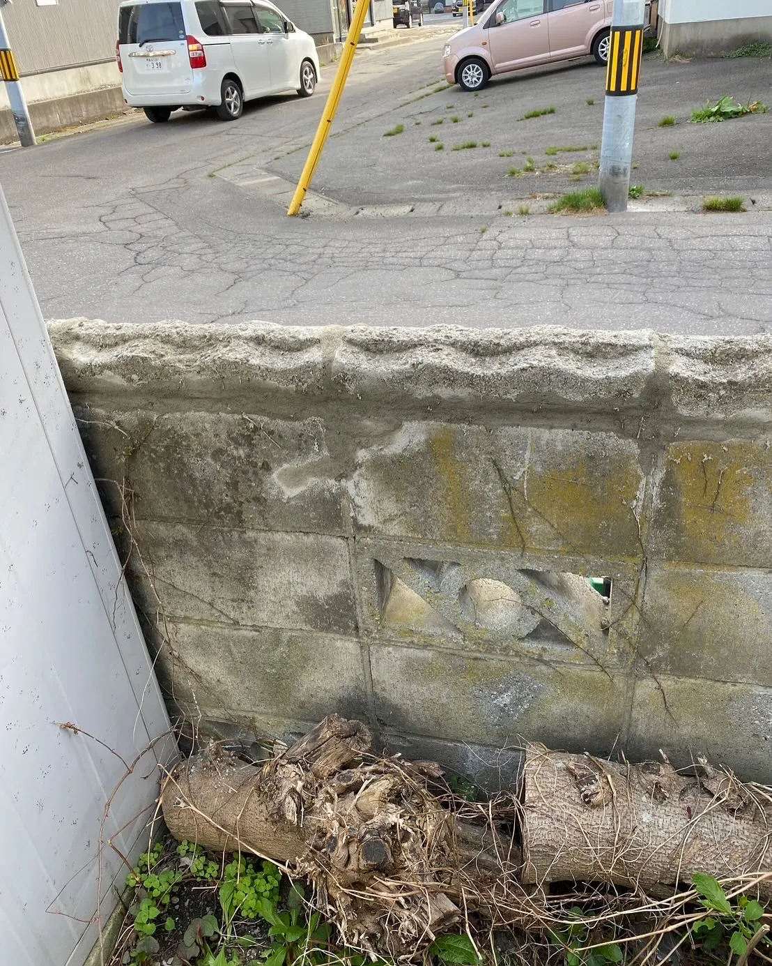 青森市の便利屋