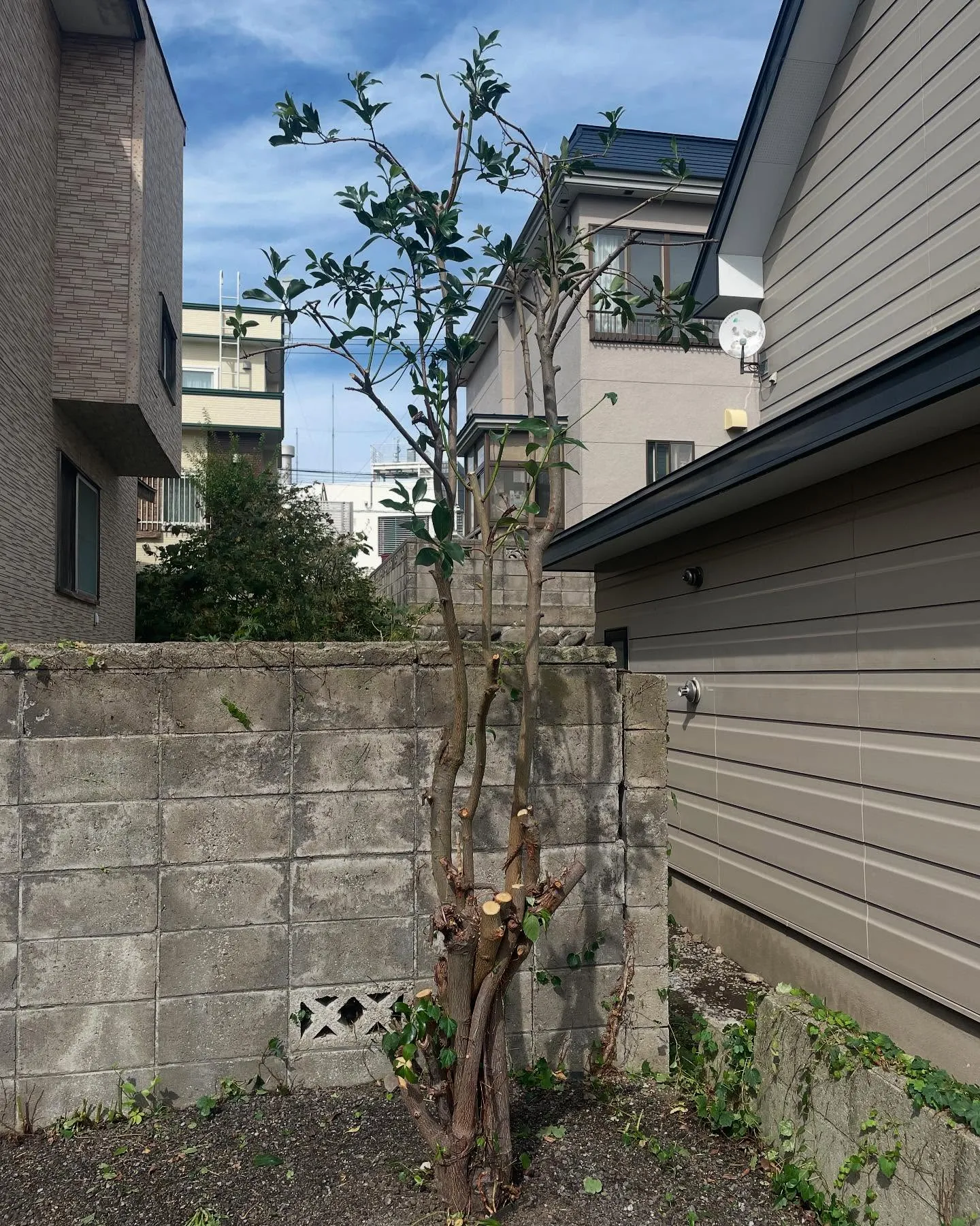 青森市の便利屋