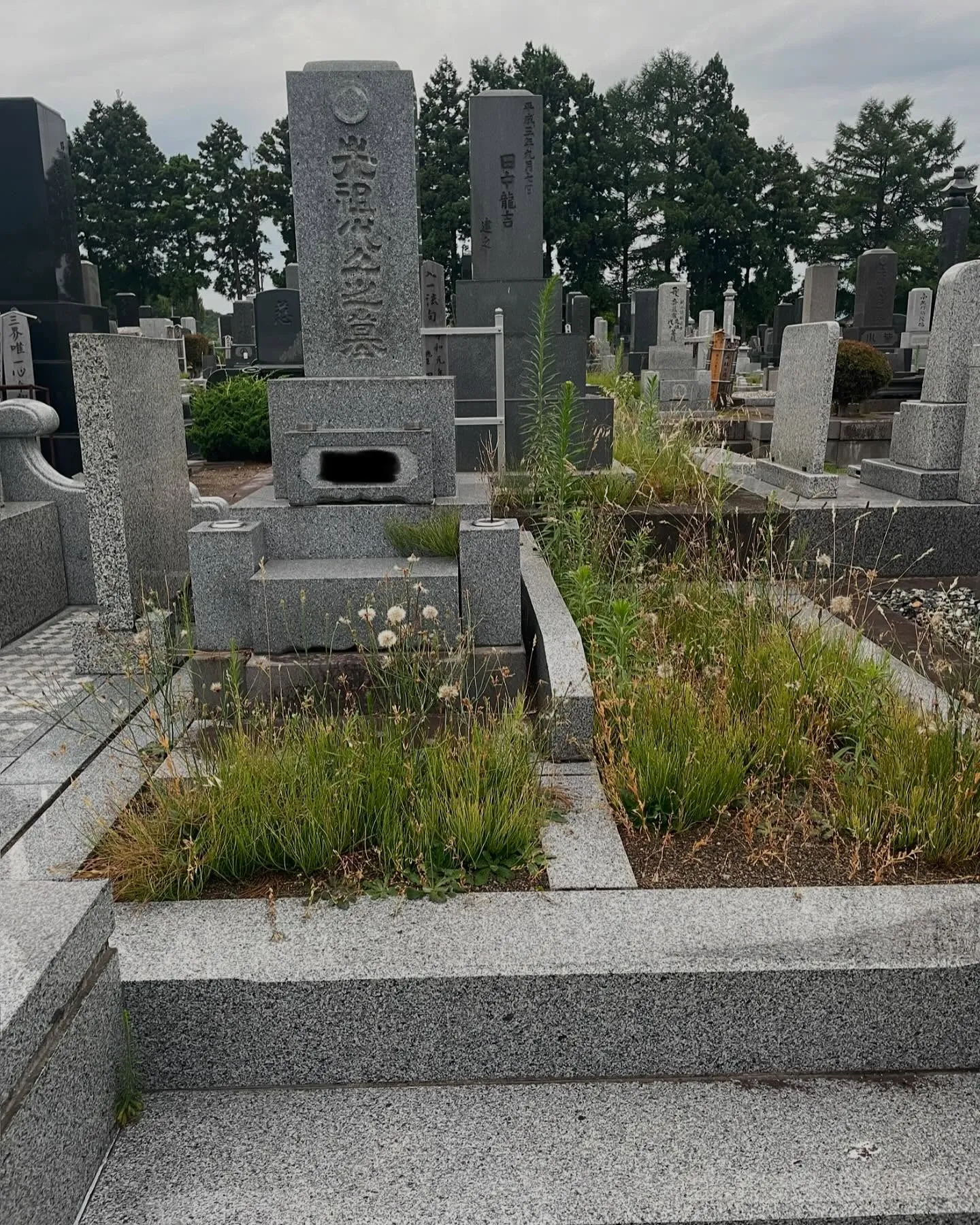 青森市の便利屋