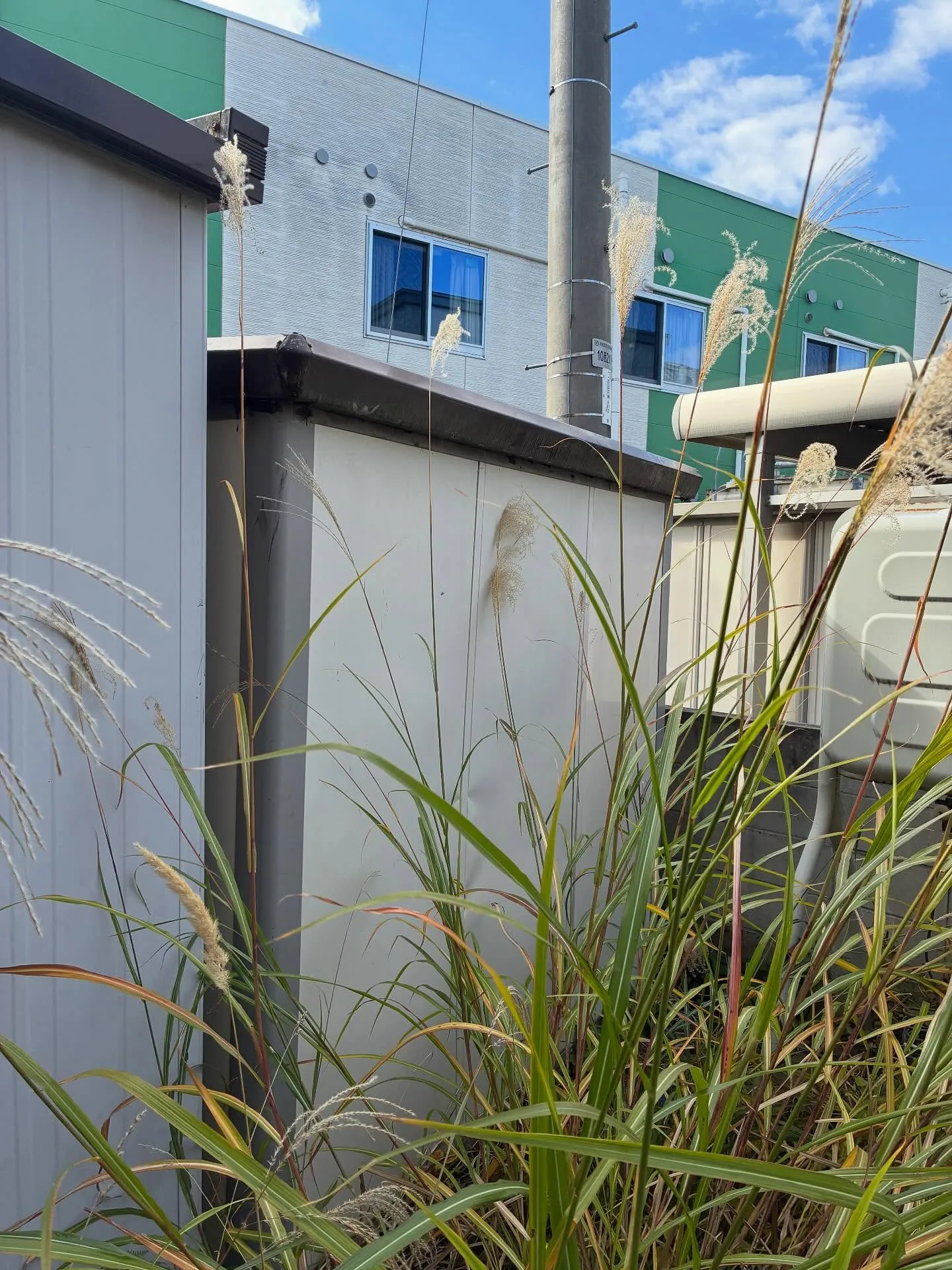 物置屋根の補修は!