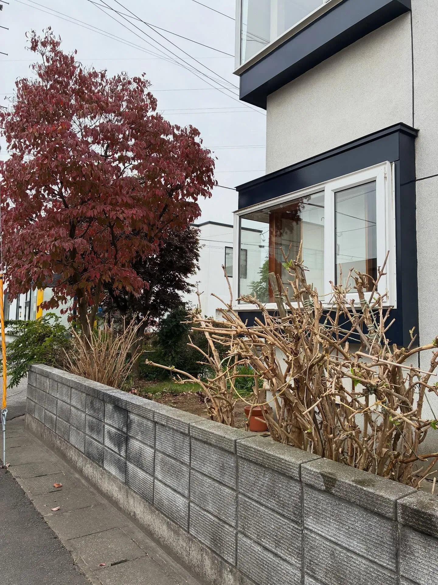 庭木の伐採は！